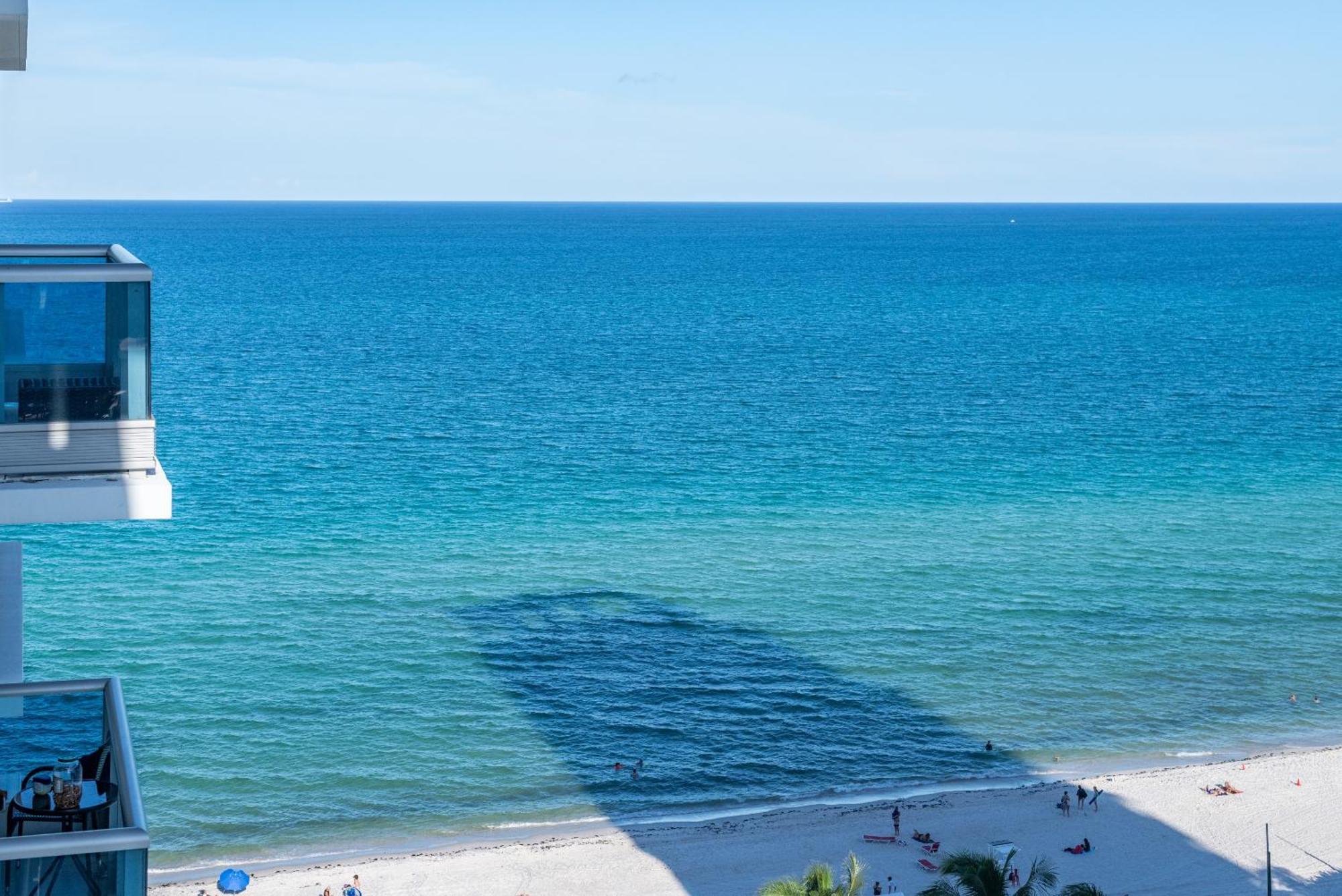 Bluebird Suites Monte Carlo Miami Beach Phòng bức ảnh